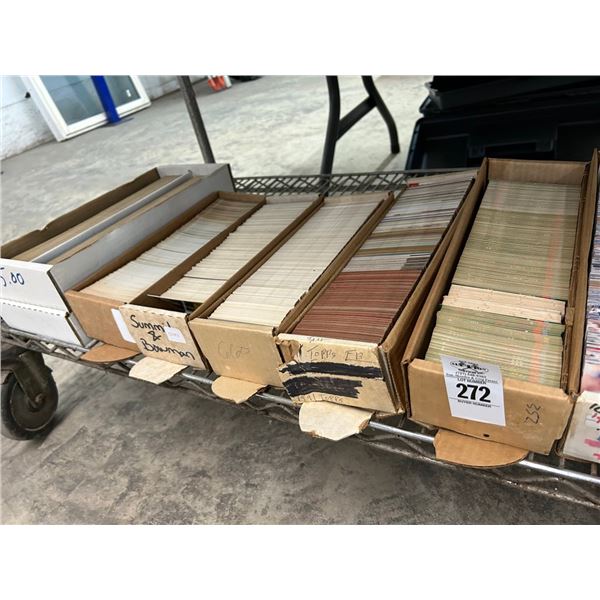 Shelf of Sports Trading Cards