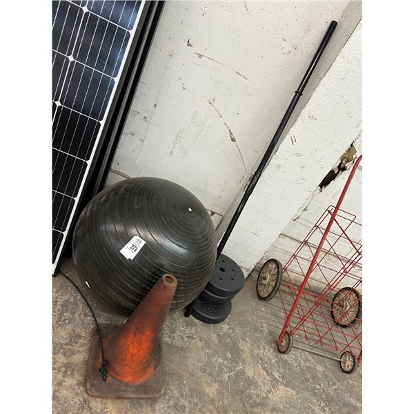 Medi Ball, Plate Weights, Bar