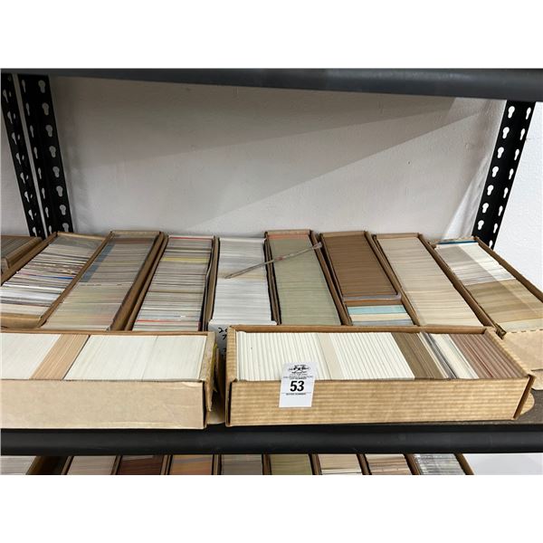 Shelf of Sports Trading Cards