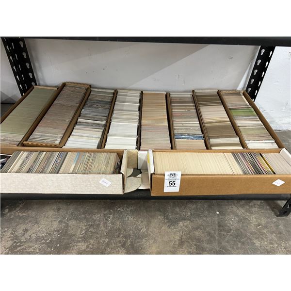 Shelf of Sports Trading Cards