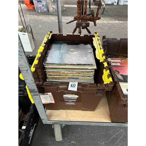 Tote w/Vinyl Records