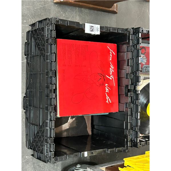 Tote w/Vinyl Records