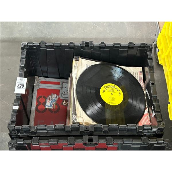 Tote w/Vinyl Records