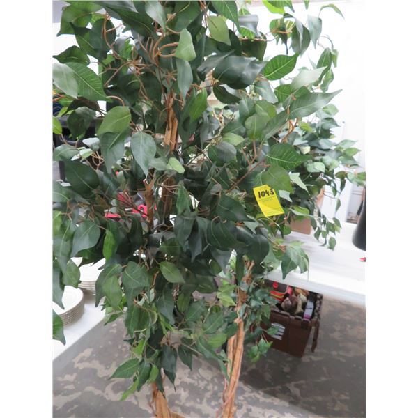 Silk Ficus Trees - 2