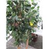 Image 1 : Silk Ficus Trees - 2