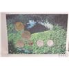 Image 3 : 1992 Royal Mint "Belize" non-circulated coin set in presentation folio