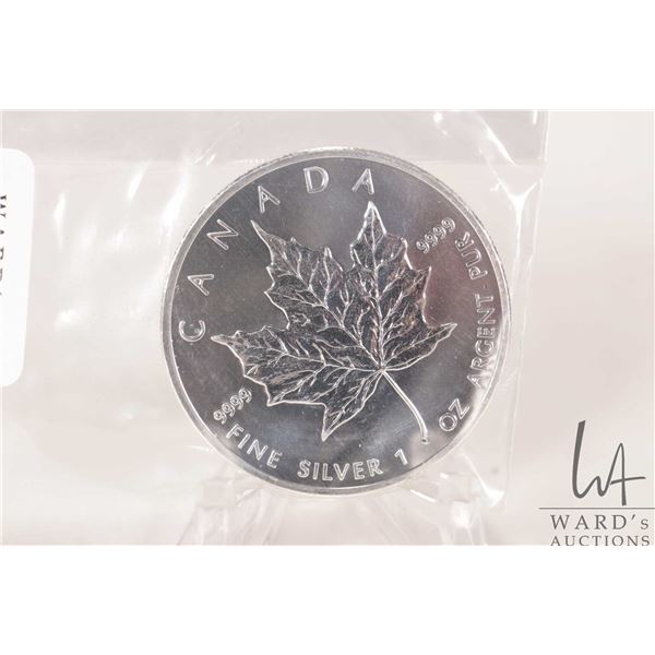 2013 Canadian five dollar .9999 fine silver maple leaf coin. (31.10 grams of .9999 silver)