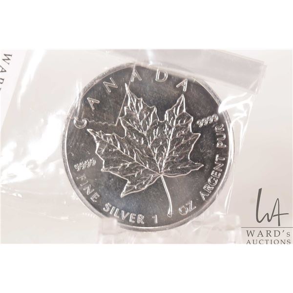 2013 Canadian five dollar .9999 fine silver maple leaf coin. (31.10 grams of .9999 silver)