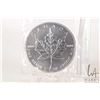 Image 1 : 2013 Canadian five dollar .9999 fine silver maple leaf coin. (31.10 grams of .9999 silver)