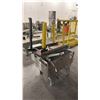 Image 2 : TRIO-PAC INDUSTRIAL POWER CONVEYER WITH SMALL ROLLER CONVEYER