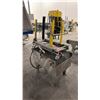 Image 3 : TRIO-PAC INDUSTRIAL POWER CONVEYER WITH SMALL ROLLER CONVEYER