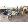 Image 2 : PASE GROUP FILLING & PACKAGING CONVEYER LINE SYSTEM