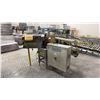Image 1 : PIONEER MODEL PF-97 LABELING MACHINE