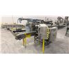 Image 4 : PIONEER MODEL PF-97 LABELING MACHINE
