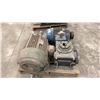 Image 4 : 2 INDUSTRIAL ELECTRIC MOTORS AND 1 PUMP HOUSING