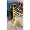 Image 2 : PALLET JACK (YELLOW)