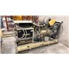Image 1 : KOHLER POWER SYSTEM GAS TURBO CHARGE POWERED GENERATOR