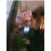 Image 4 : Mid Century Terrarium Stool B