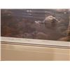 Image 10 : Framed Art B