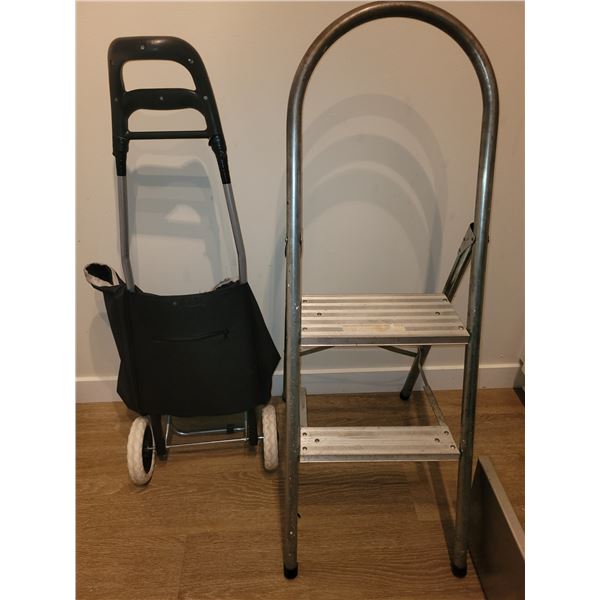 Step Stool & Shopper A