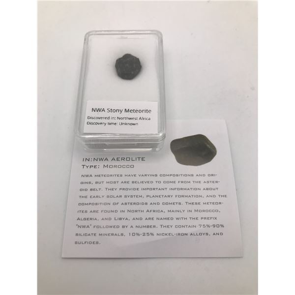 NWA STONY METEORITE MOROCCO IN CASE
