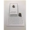 Image 1 : ENSTATITE METEORITE CHONDRITES NORTHERN AFRICA IN CASE