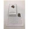 Image 1 : ENSTATITE METEORITE CHONDRITES NORTHERN AFRICA IN CASE