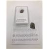 Image 1 : ENSTATITE METEORITE CHONDRITES NORTHERN AFRICA IN CASE