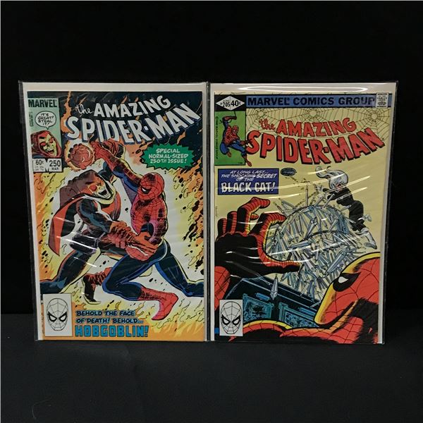 LOT OF 2 AMAZING SPIDERMAN COMICS #205 & #250 - MARVEL COMICS