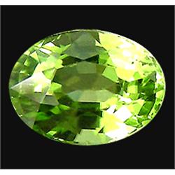2.45ct Oval Cut Green Natural Peridot Unheated (GEM-15281)