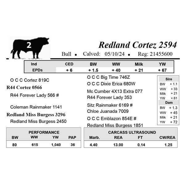Redland Cortez 2594
