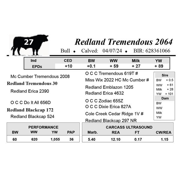 Redland Tremendous 2064