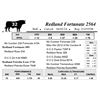 Image 1 : Redland Fortunate 2564