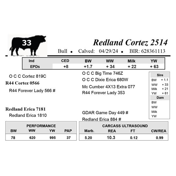 Redland Cortez 2514