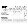 Image 1 : Redland Cortez 2514
