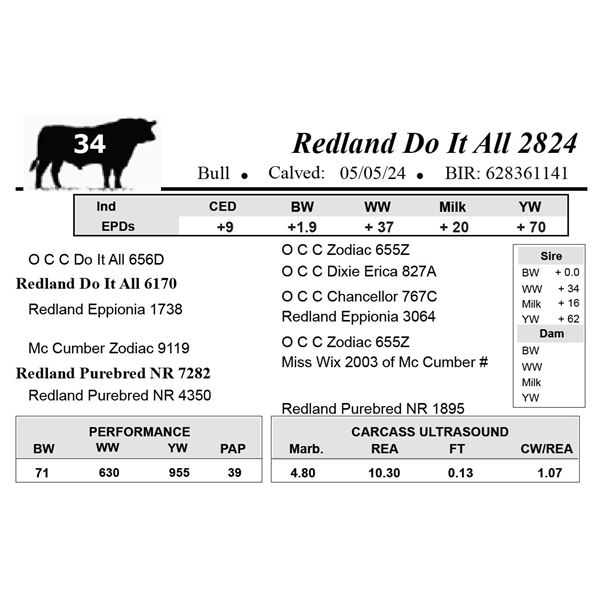 Redland Do It All 2824
