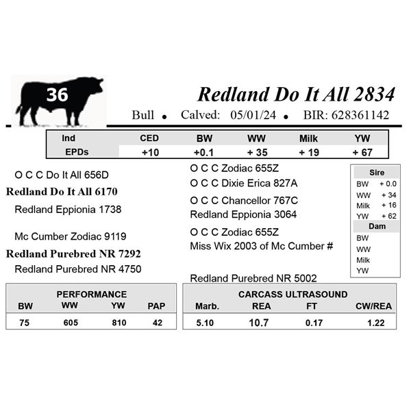 Redland Do It All 2834