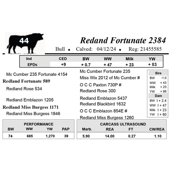 Redand Fortunate 2384