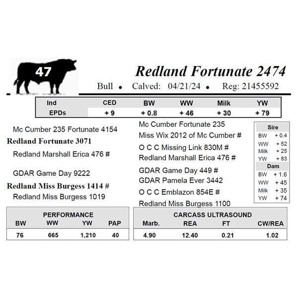 Redland Fortunate 2474