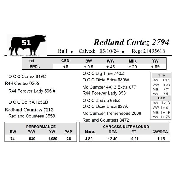 Redland Cortez 2794