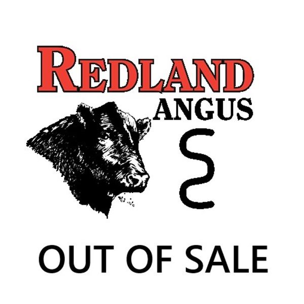 OUT OF SALE