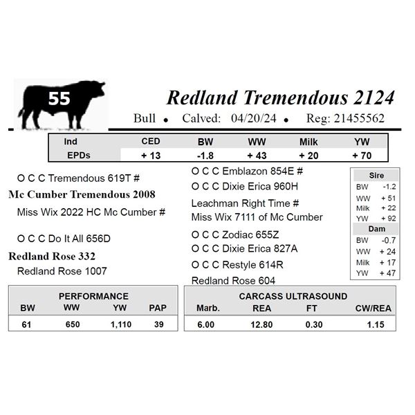Redland Tremendous 2124