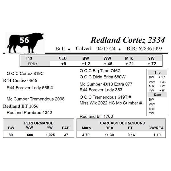 Redland Cortez 2334