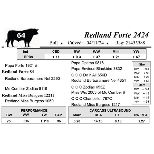 Redland Forte 2424