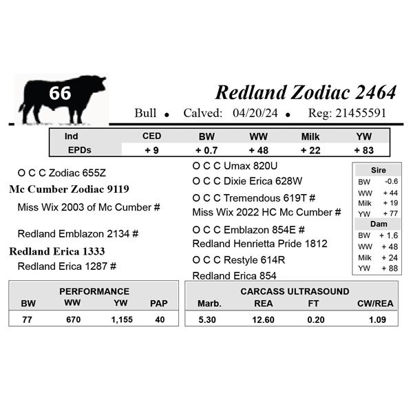 Redland Zodiac 2464