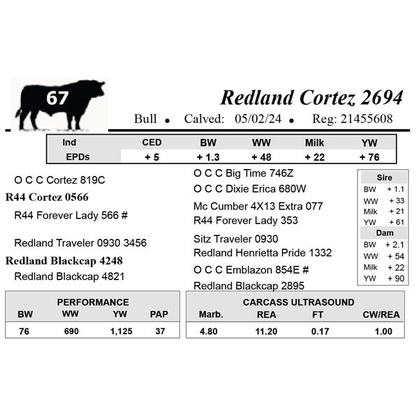 Redland Cortez 2694