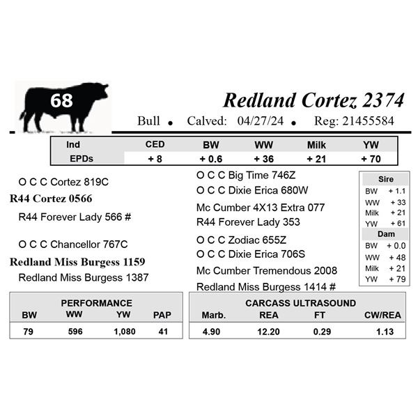 Redland Cortez 2374