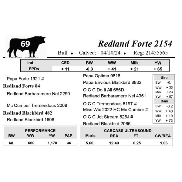 Redland Forte 2154