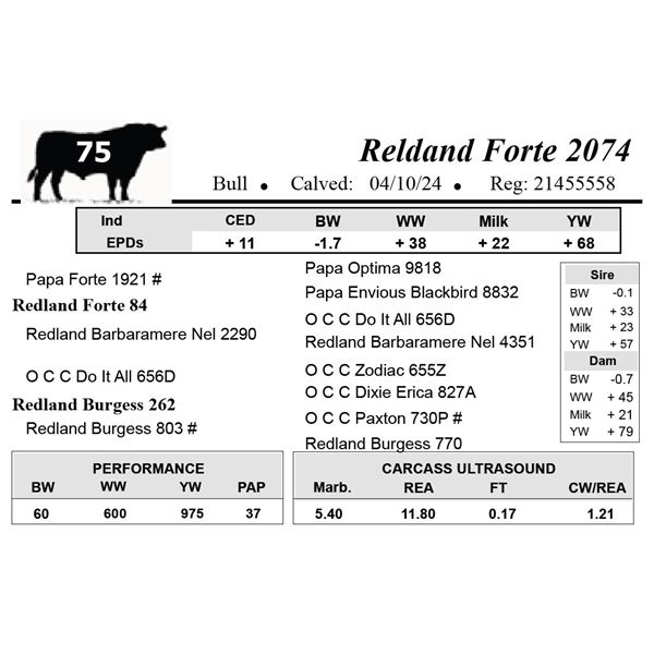 Reldand Forte 2074