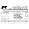 Image 1 : Redland Chancellor 2524